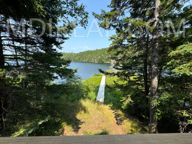 Cabin on the Pond