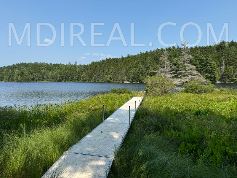 Cabin on the Pond