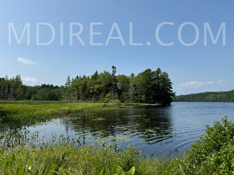 Cabin on the Pond