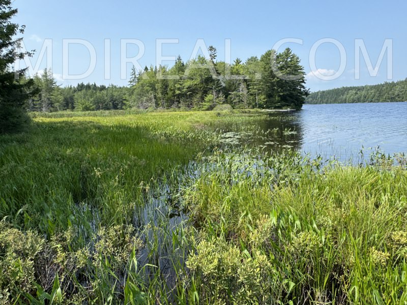 Cabin on the Pond