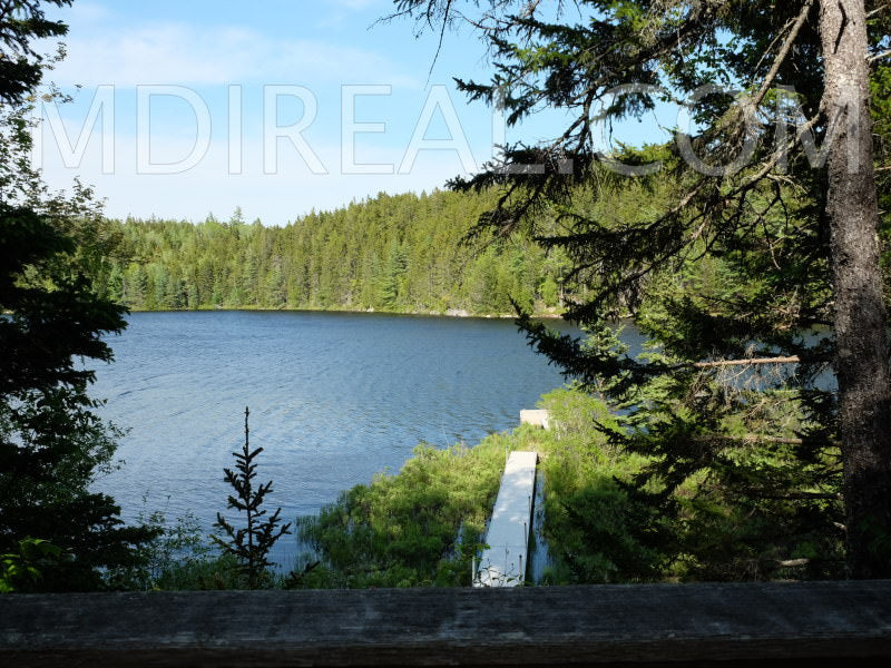 Cabin on the Pond