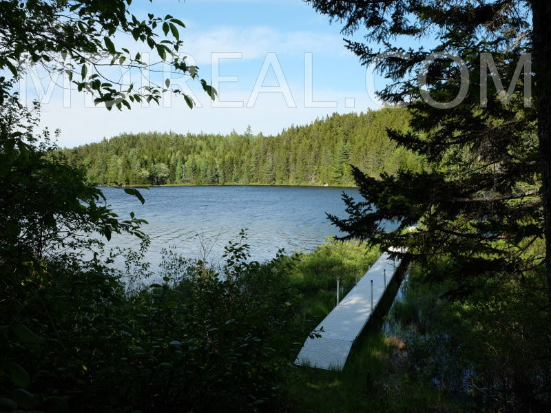 Cabin on the Pond