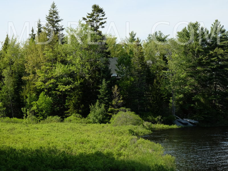 Cabin on the Pond