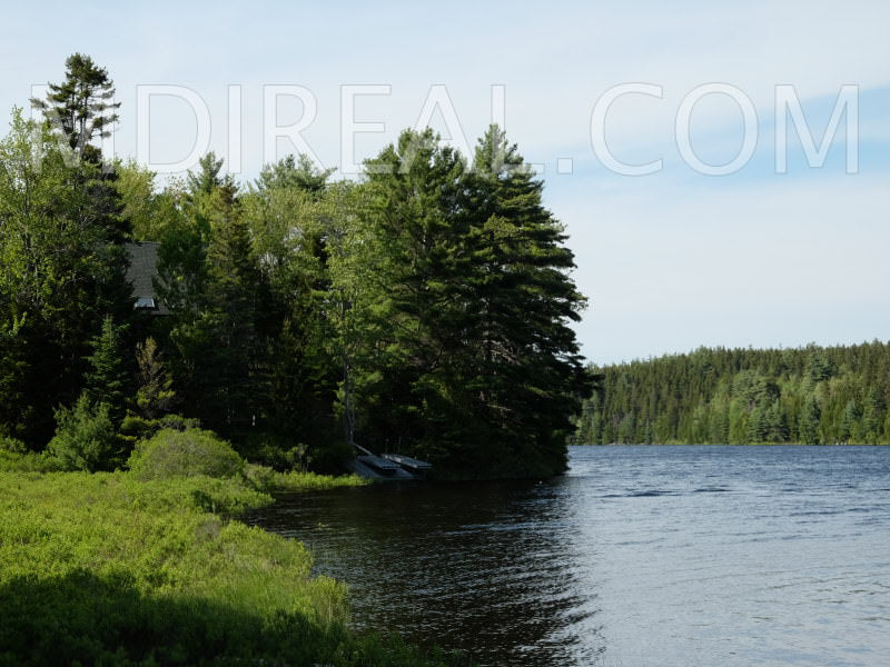 Cabin on the Pond