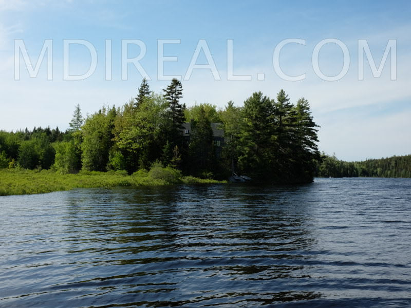 Cabin on the Pond