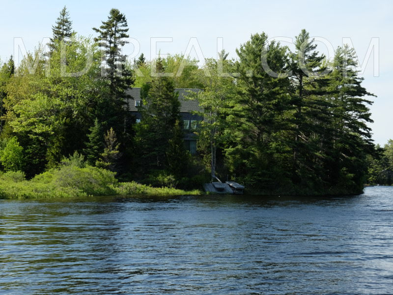 Cabin on the Pond