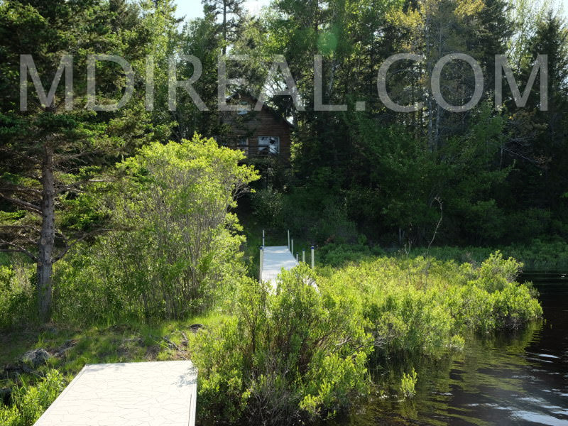 Cabin on the Pond