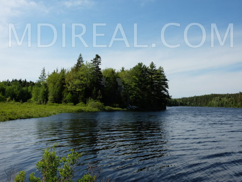 Cabin on the Pond