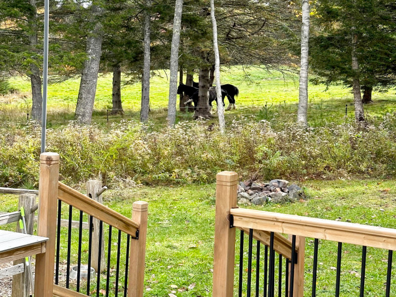 Farm View