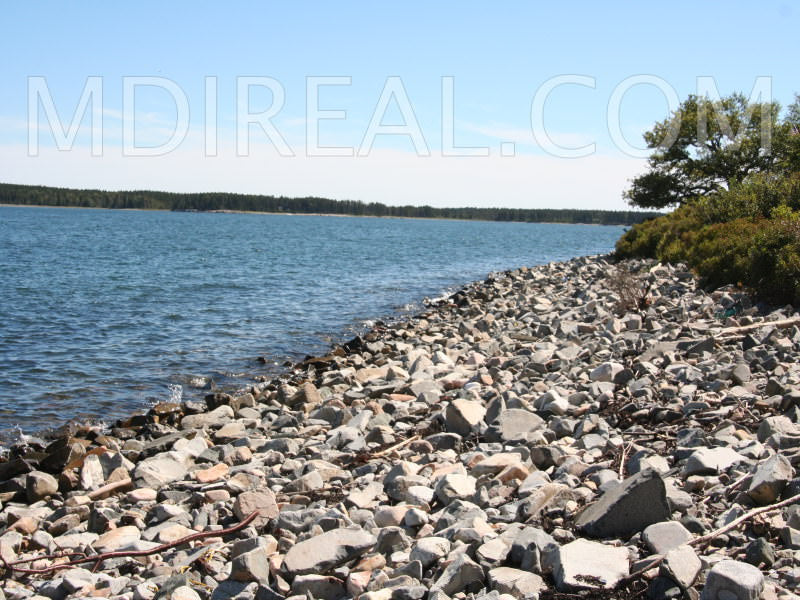 Sand Dollar Cottage