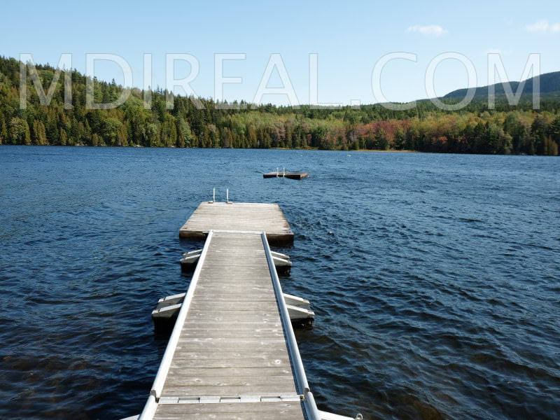 Seal Cove Pond's Vince Cottage