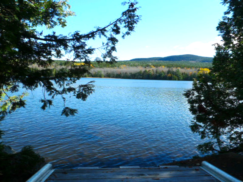 Seal Cove Pond's Vince Cottage